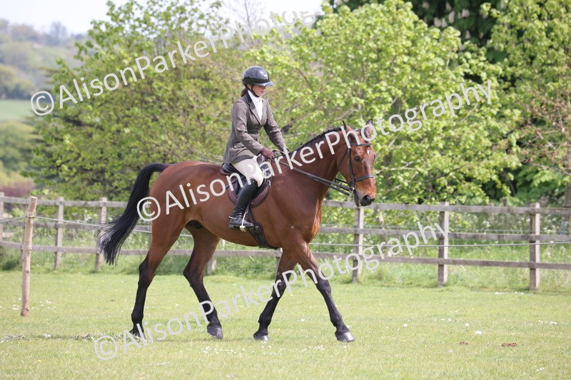 20260426-4322 - Class 34 - Best Riding Horse Over 14.2hh