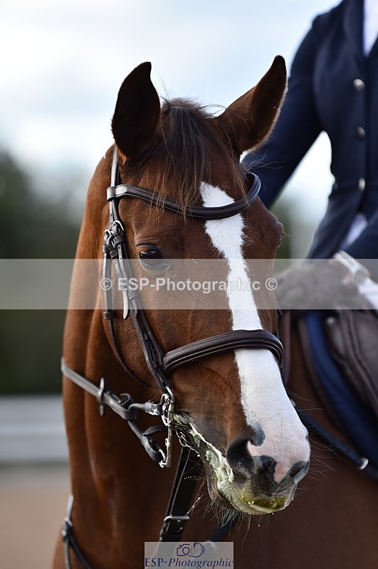 231014A-145744-05404 - Cls 15 1.05m Amateur Q 2nd R