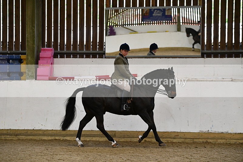 WJ5_7719 - Class 13 Ridden Part Breed