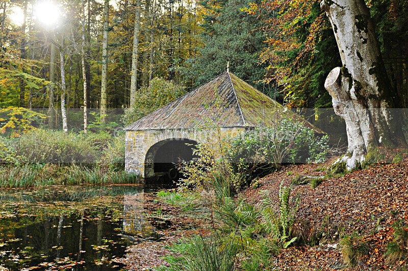 2 - Autumn around Selkirk