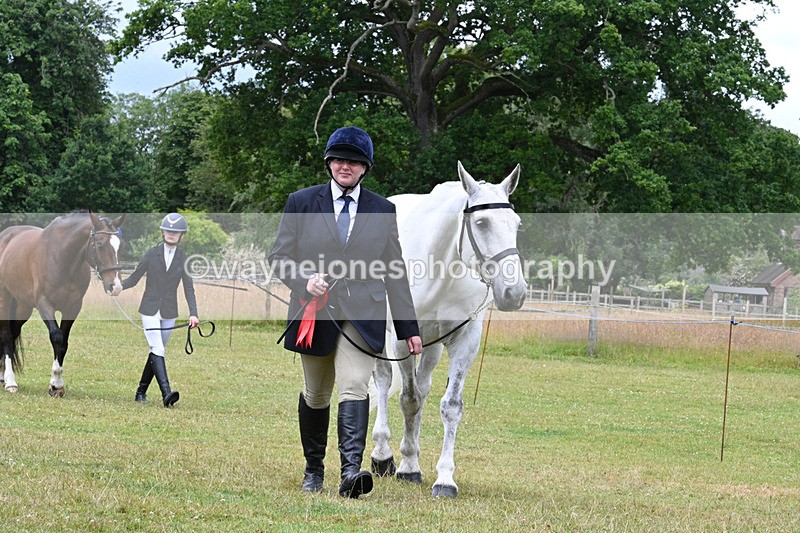 WJ7_7253 - Champs