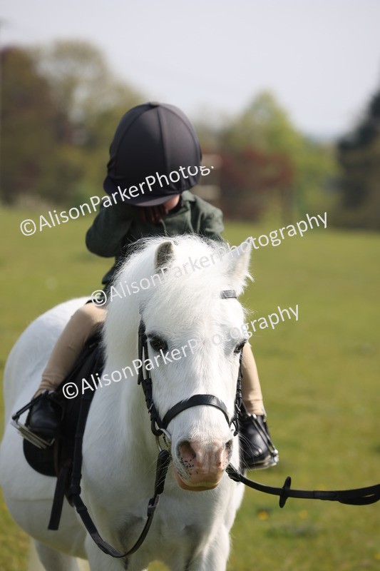 20260426-0466 - Class 30 - Tiny Tots Lead Rein
