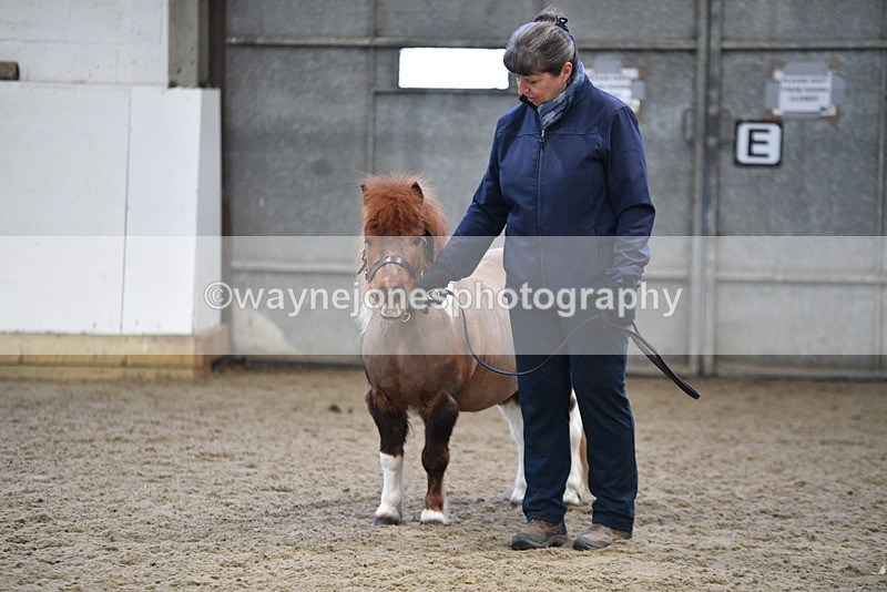 WJ5_5130 - Class 7 In hand coloured / odd coloured