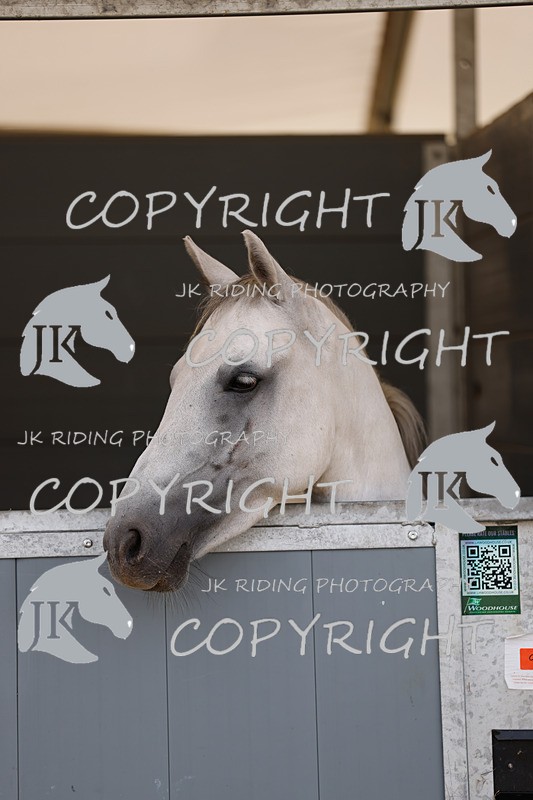 _R6A2908 - Arena Eventing Afternoon