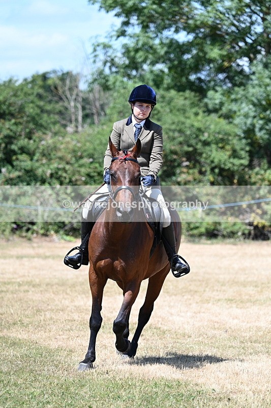 WJ7_3075 - Class 7 Riding Club Show Horse
