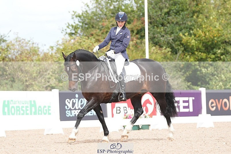 250906-111245-01960 - 030-Rebecca.Ezra.-.HamMaesmynach.Mr.Sam