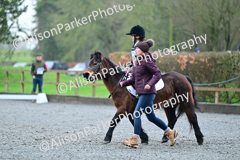 20260125-0863 - Class 9a - Walk Trot Assisted