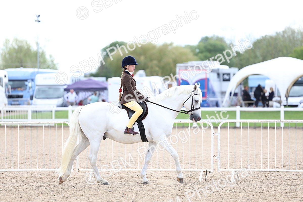 SBM_15749 - Class 314 - Family Horse - Pony