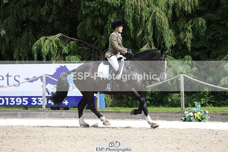 230812-134402-04301 - Cls 5 Novice Bronze 13.40 to 14.45 break