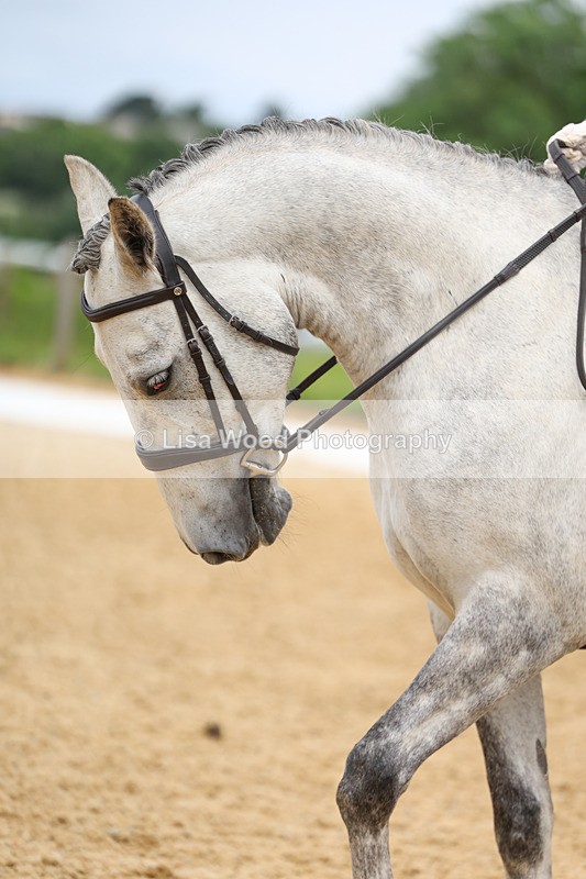 3E7A9278 - Class 2: Intro 1 2024 Section B