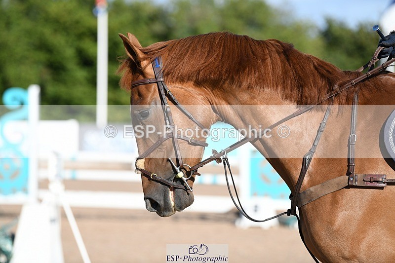 250801-083511-03741 - Cls 20 A&B Brit Nov & 90 Open