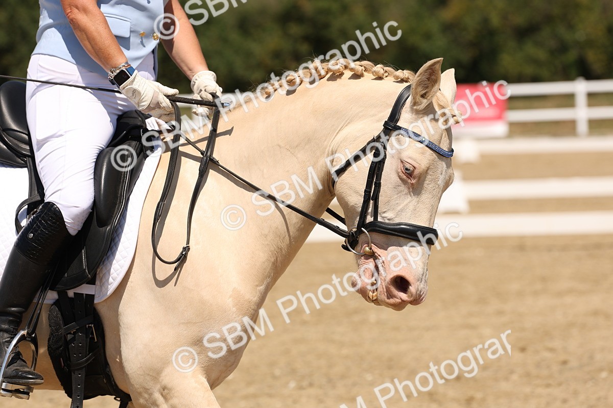 SBM_004943 - Prelim 4 - 13.34-15.39