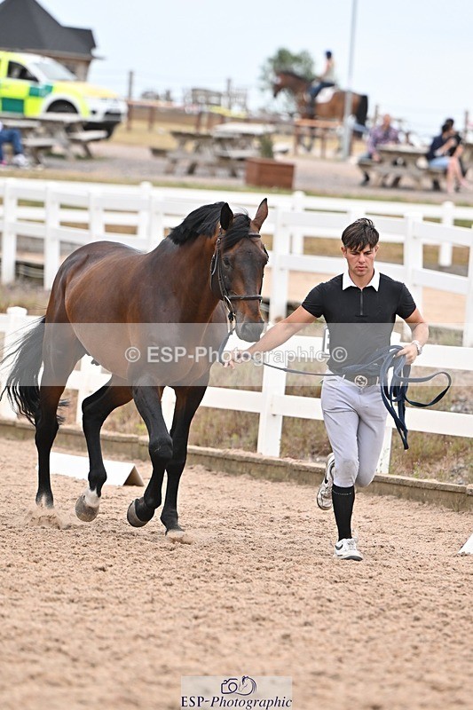 250716-160036-02339 - Trot Up 3.30 to 4.30