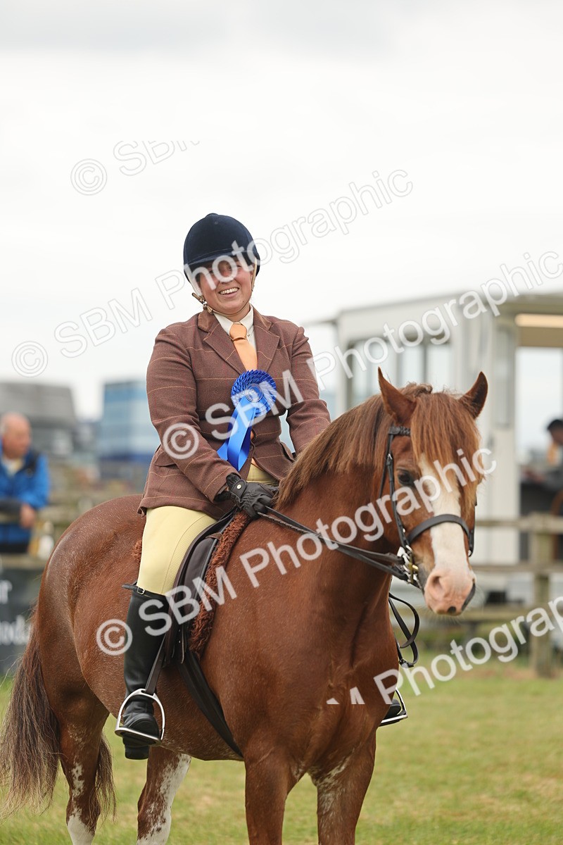 SBM_07270 - Class 76-77 - Ridden M&M Welsh Ponies