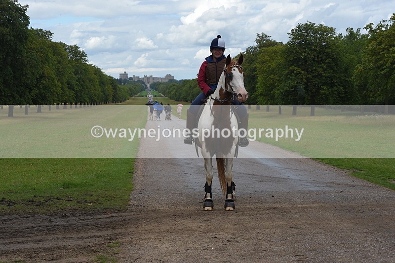 TT3_0375 - Time at Crossing 14:53 to 1526