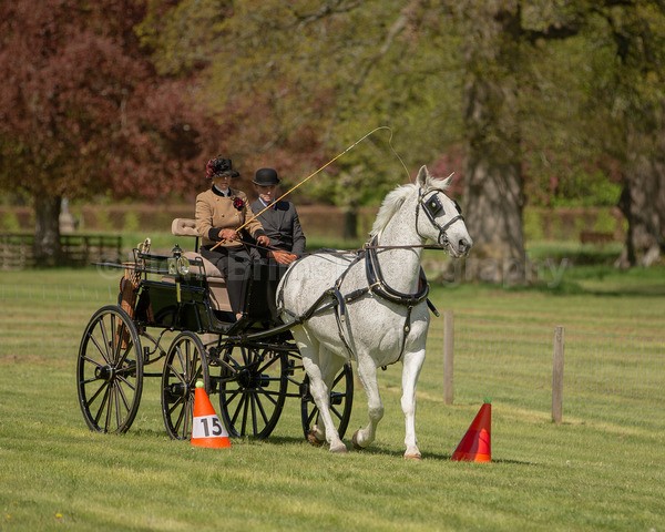 Attelage -865 - CIAT Glamis 2026