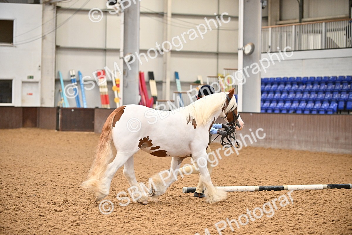 SBM_000014 - Class 1 - In Hand Cob