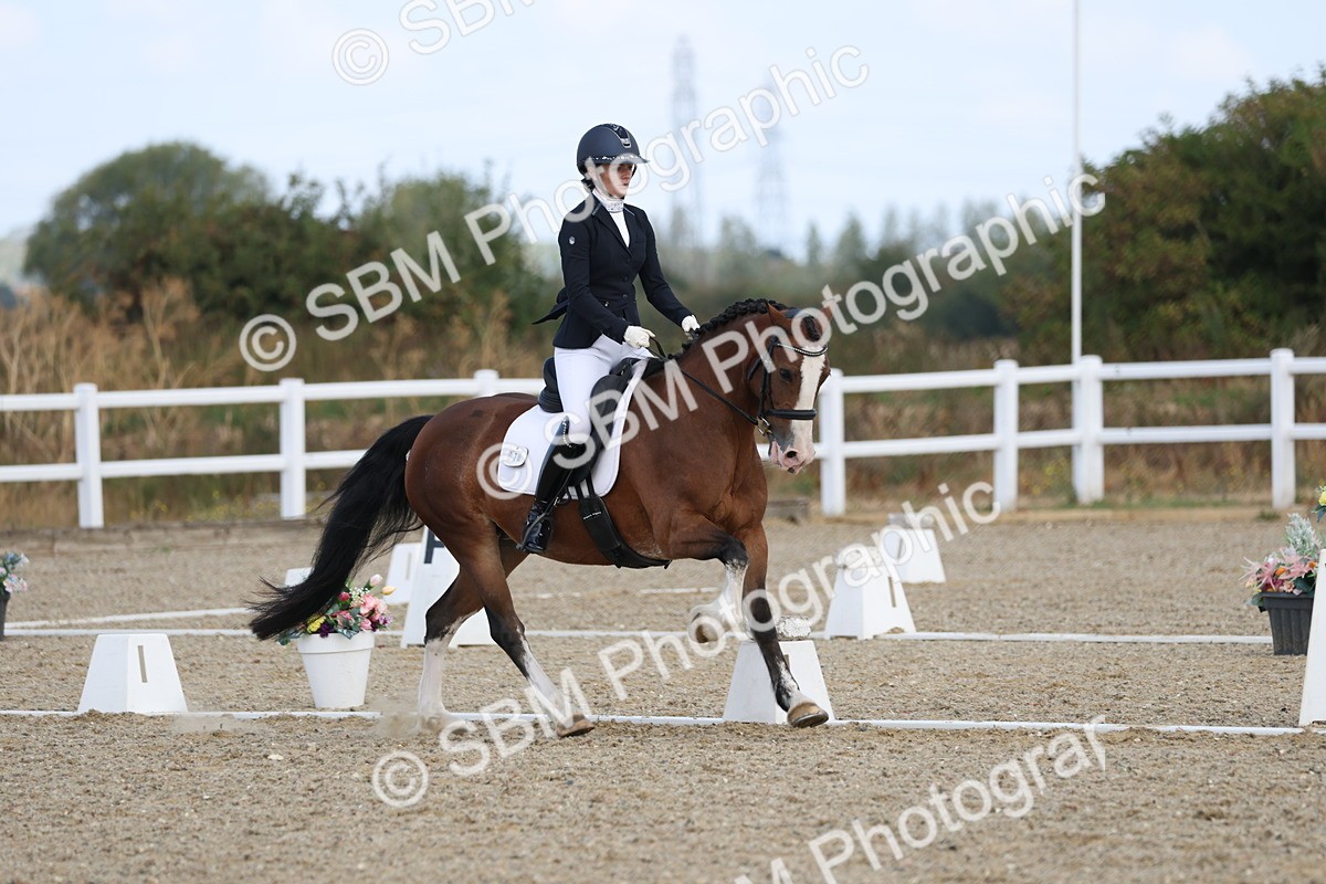 SBM_020289 - Class 21 - M5 Bronze 9.30.10.34