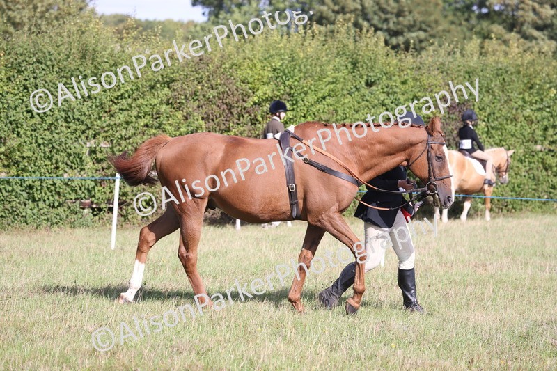 20260906-0671 - Class 22 - Ex Racehorse