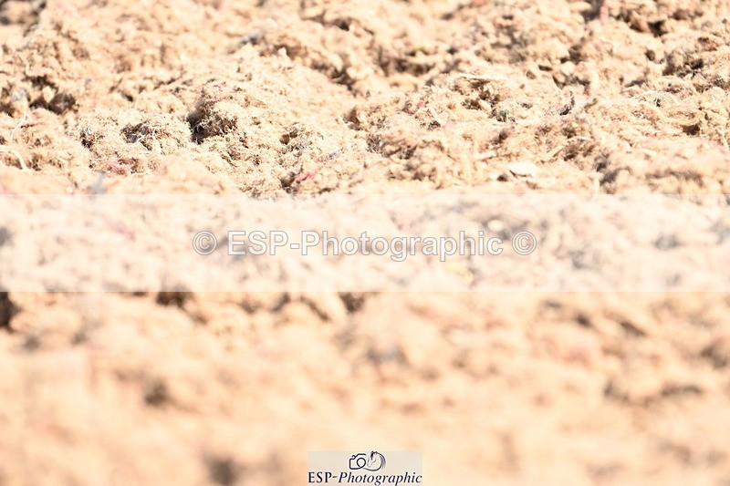 240621A-101510-01750 - Cls 2 BD Prelim 19