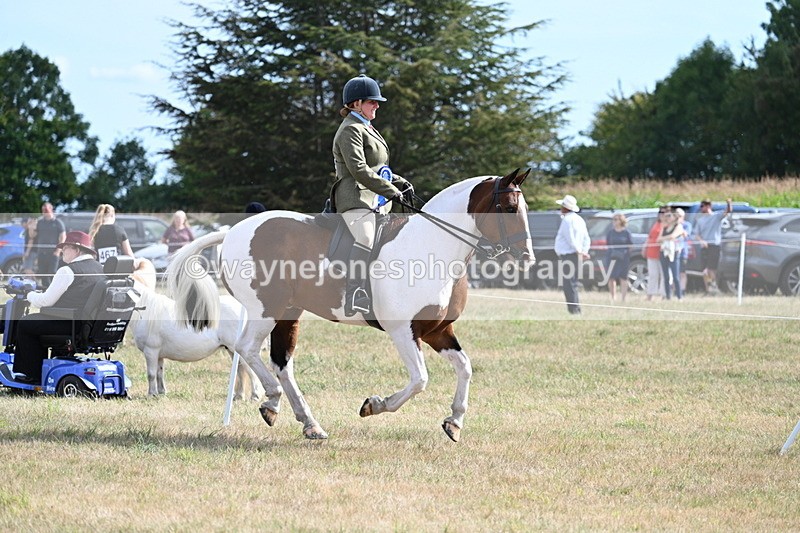 WJ7_7481 - Class 14 Ridden Coloured