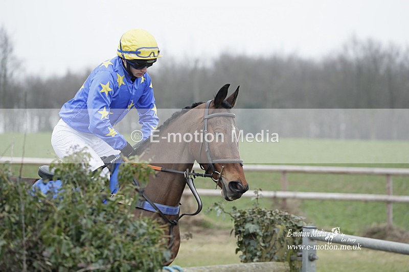 PtP 040323 650 - Duke of Beauforts Hunt Point-to-Point Didmarton 04/03/23