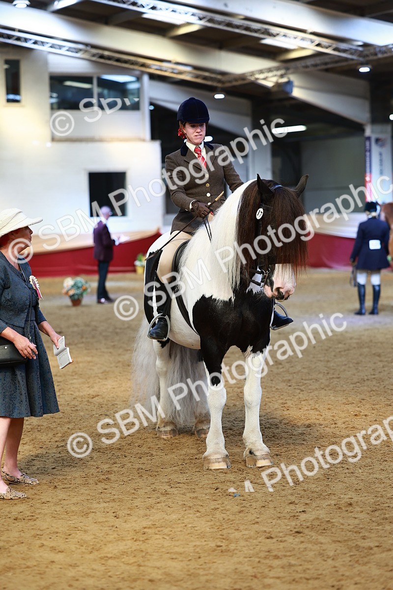 SBM_23479 - class 906 - Supreme Final - Ridden Pre Vet