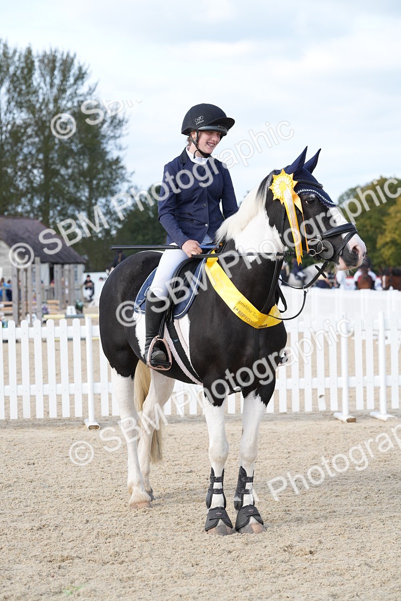 SBM_48875 - J22 - Junior Horse 65cm Championship