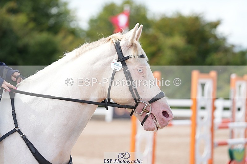 250731-130530-01705 - Cls 10  1.05cm Nat Am Qual