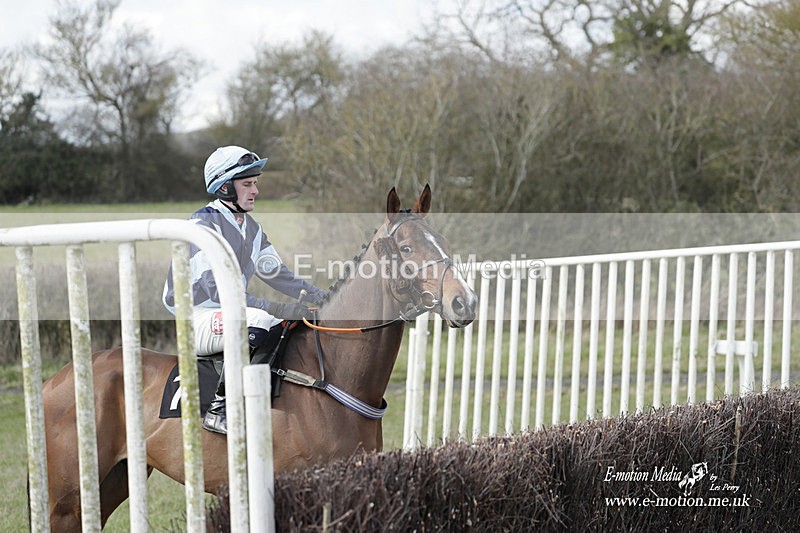 PtP 180323 558 - Shelfield Park Races with Croome & West Warwickshire Hunt  18/03/23