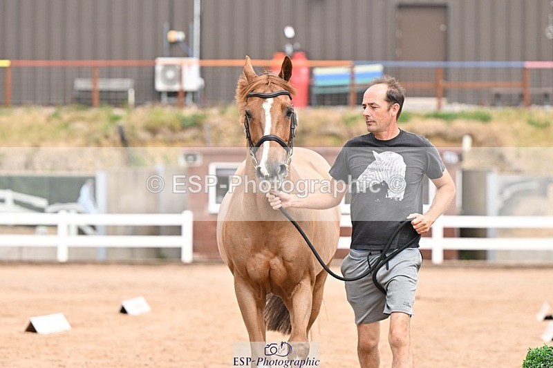 250716-153935-02089 - Trot Up 3.30 to 4.30