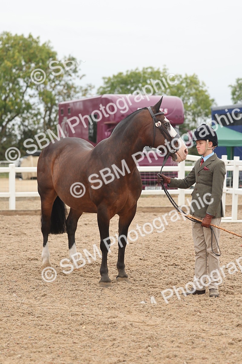 SBM_00577 - Class 13 Young Handler