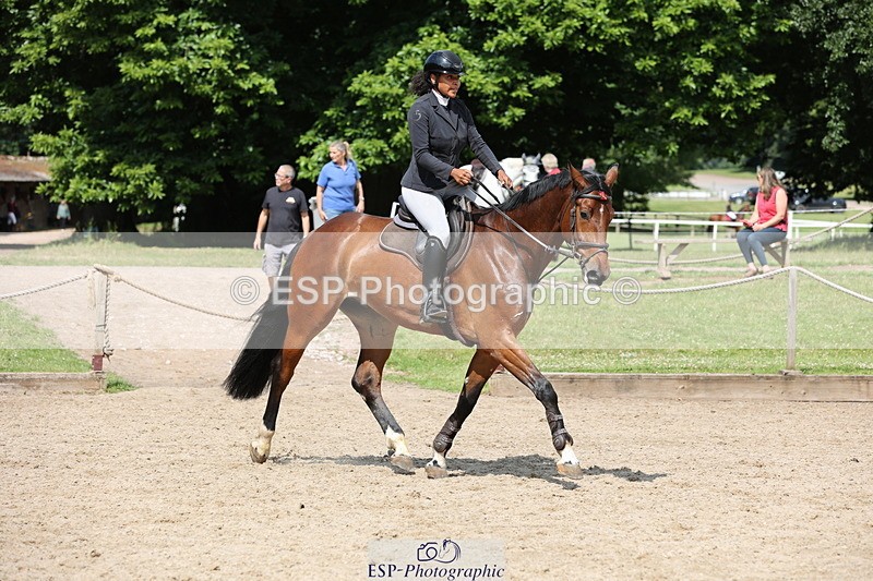 250614A-104611-05783 - Cls 26 British Novice and 90cm Open