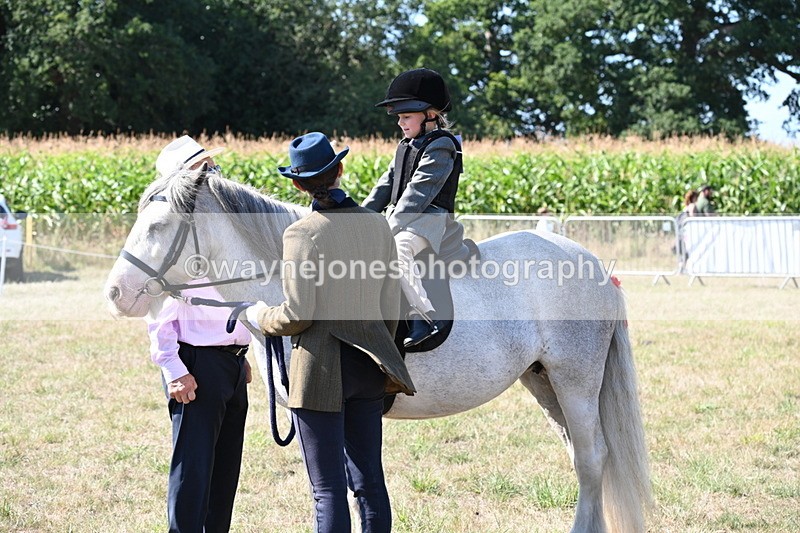 WJ6_7904 - Class 36 Lead Rein