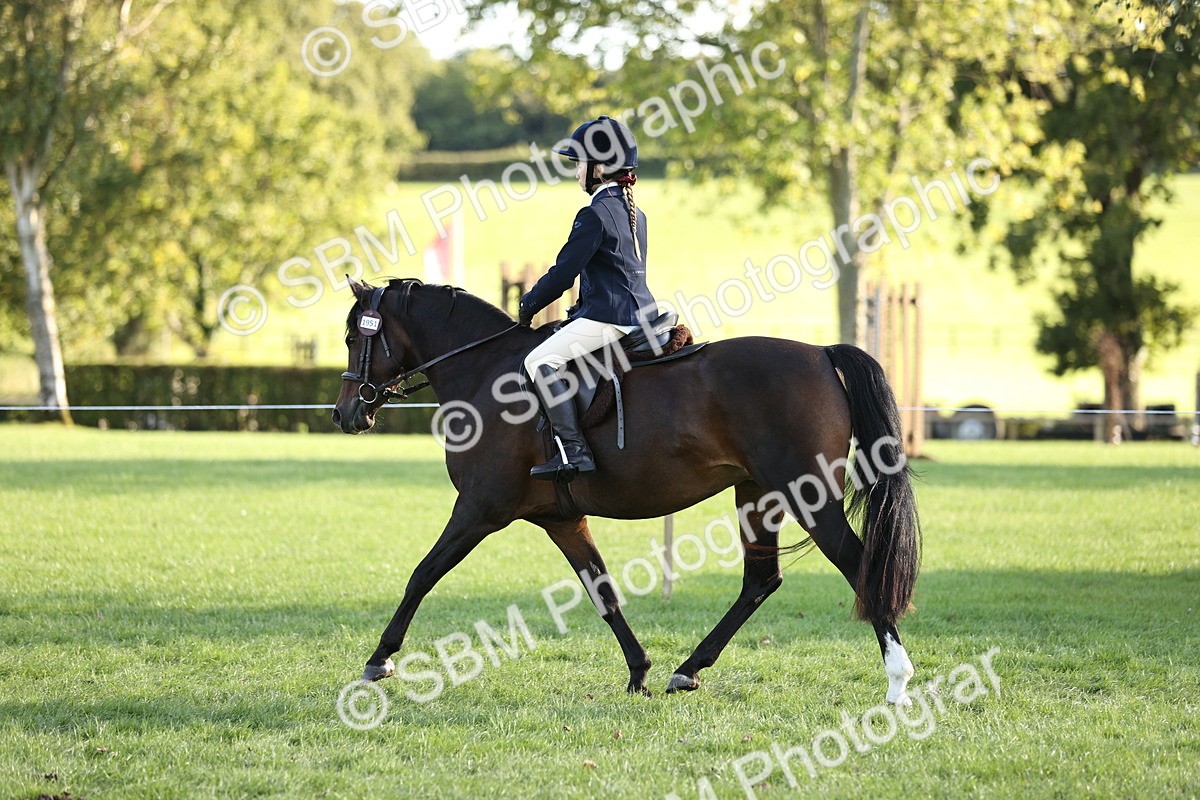 SBM_29468 - S7 - Novice & Newcomers Ridden Pony