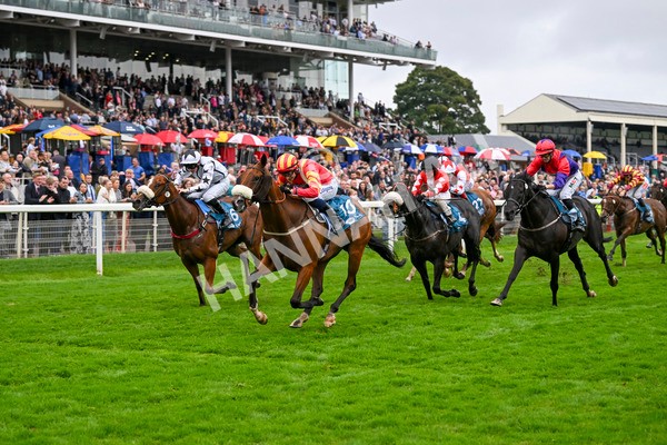 080924-Race 6-Northern Spirit-9477 - Race 6 4.35pm Hanson Springs Handicap