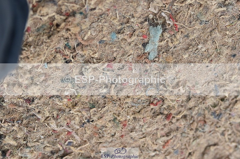 231013A-092500-00783 - Cls 6 British Novice & 90cm Open