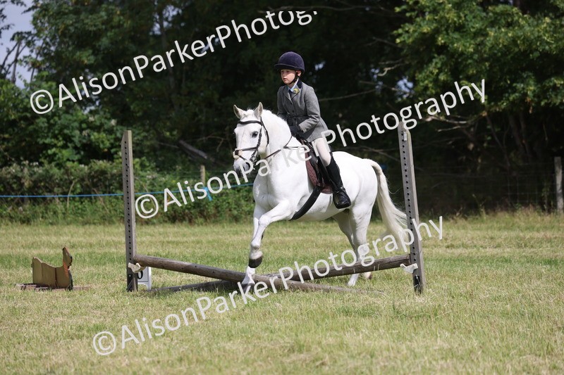 20260614-0543 - Class 20 - Beginners Working Hunter Pony