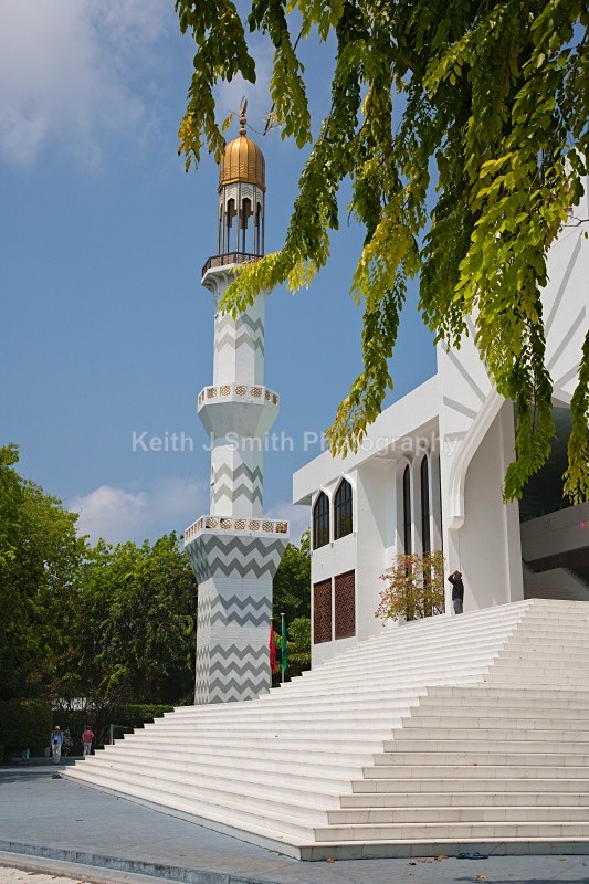 YR6M7981jpg  (RM) - Worldwide