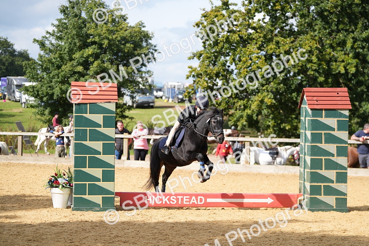 SBM_64419 - J2 - Mini Tour Junior Pony 30cm Championship