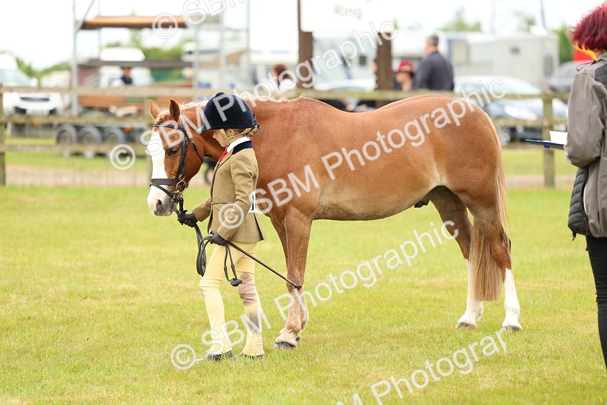 SBM_10262 - Class 44-45 - LIHS BSPS Open Nursery and Cradle Stakes