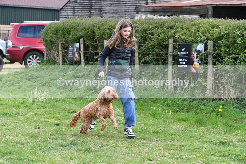 WJ5_0108 - Class 5 Best Veteran / 7 years & over