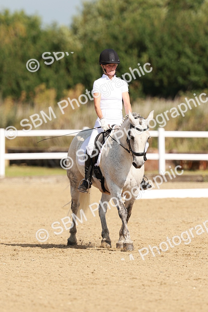 SBM_021147 - Class 12 - P6