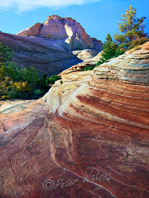 Zion National Park Utah USA - Land