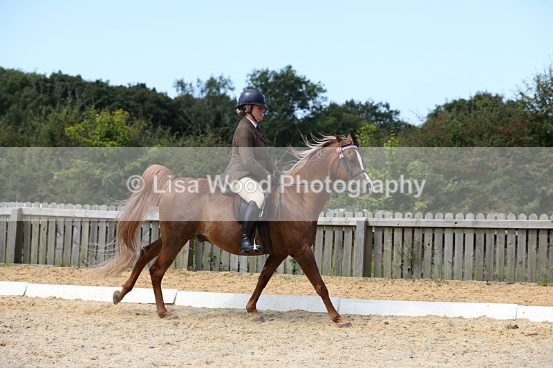 1X9A8349 - Class 13: Arab Ridden