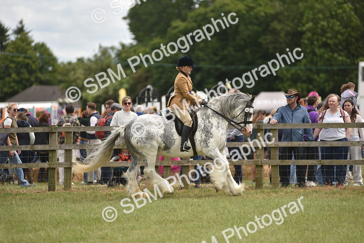 SBM_15922 - Class 117-122 - SSADL RIHS Qualifier