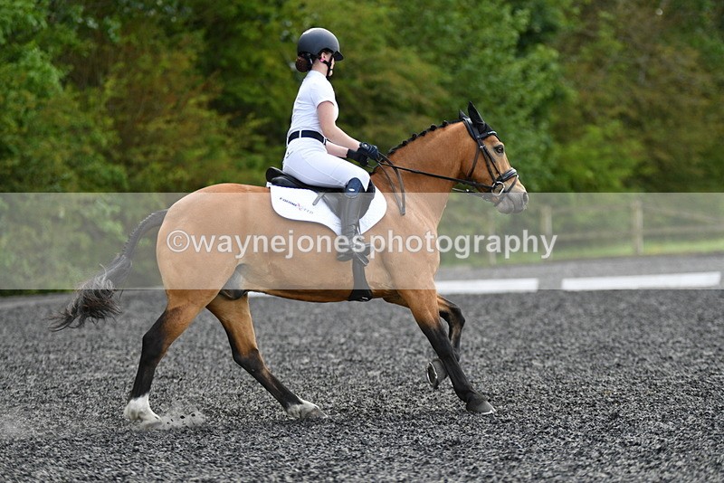 WJ5_1031 - Time 13:45 to 14:20