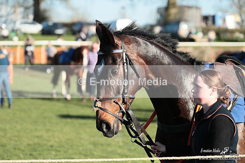 PtP 210326 1166 - VWH Cirencester Races 21/03/26