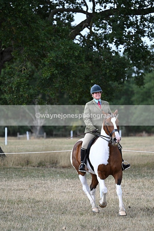 WJ7_7222 - Class 14 Ridden Coloured