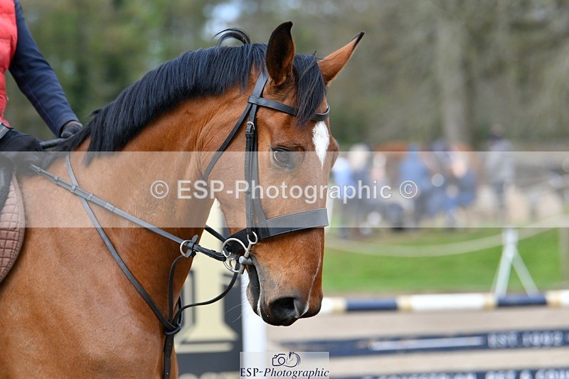 240324-084645-01706 - Cls 7 British Novice & 90cm Open